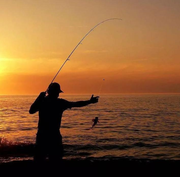 鍙挀40澶ч奔楸肩,4.5绫抽挀澶ч奔楸肩