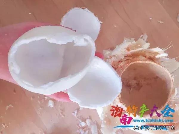 椰子在海南是一种怎样的存在，你真的懂它吗？