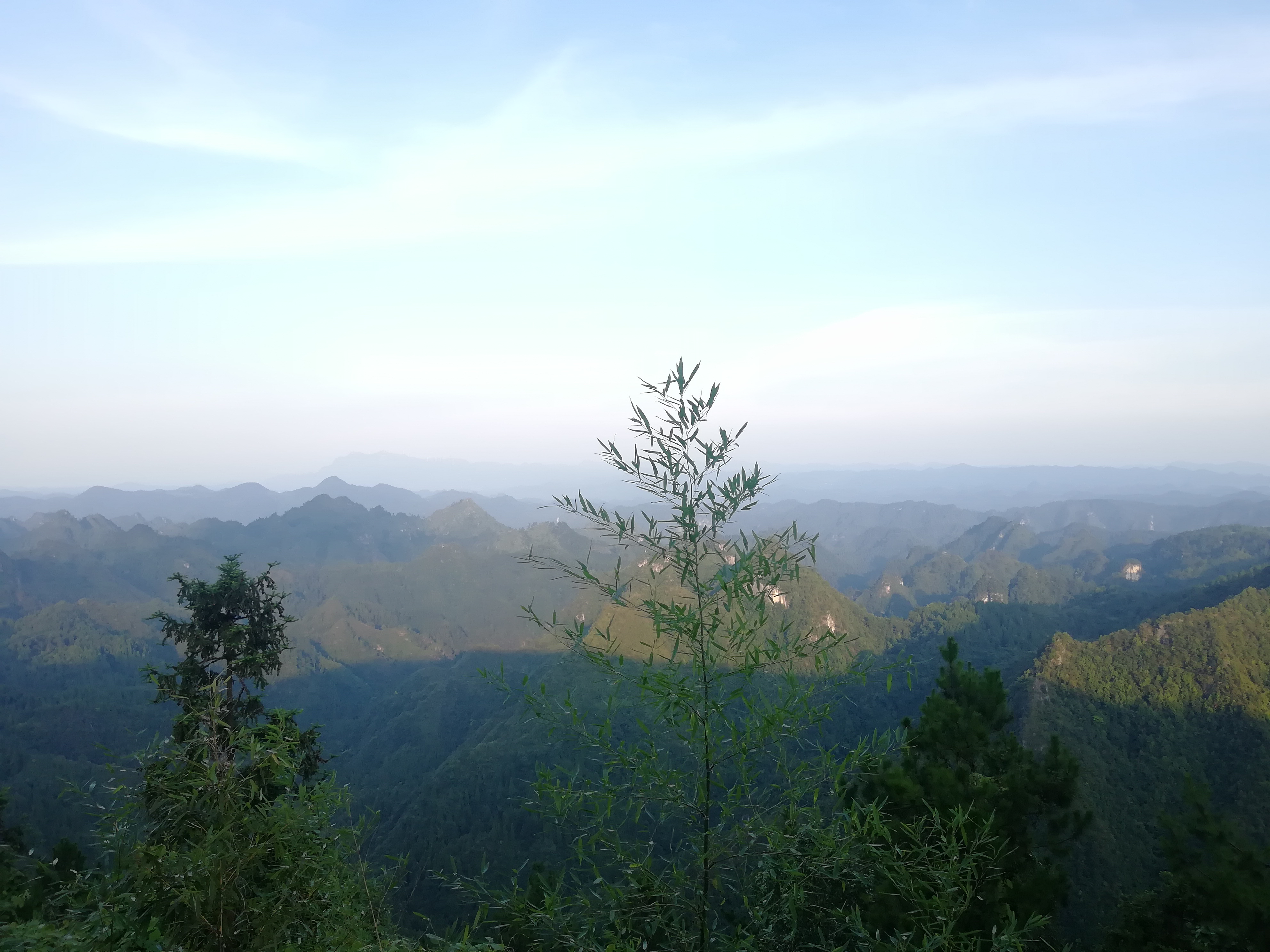 语文中的修改符号,语文中的定语