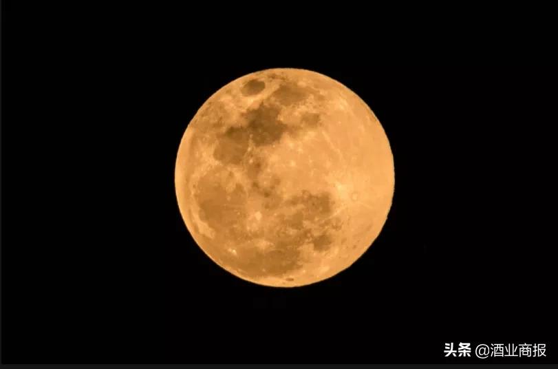 致敬经典酒,酒祖杜康2010封窖纪念酒