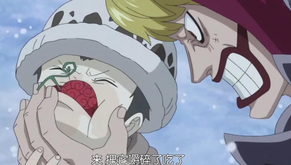 海贼王中只有这3颗果实公布了价格，橡胶果实售价直逼手术果实