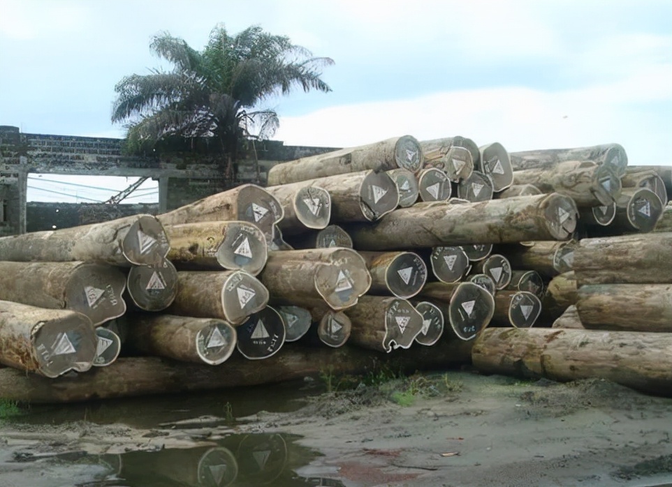 高博黑檀,高密黑檀家具