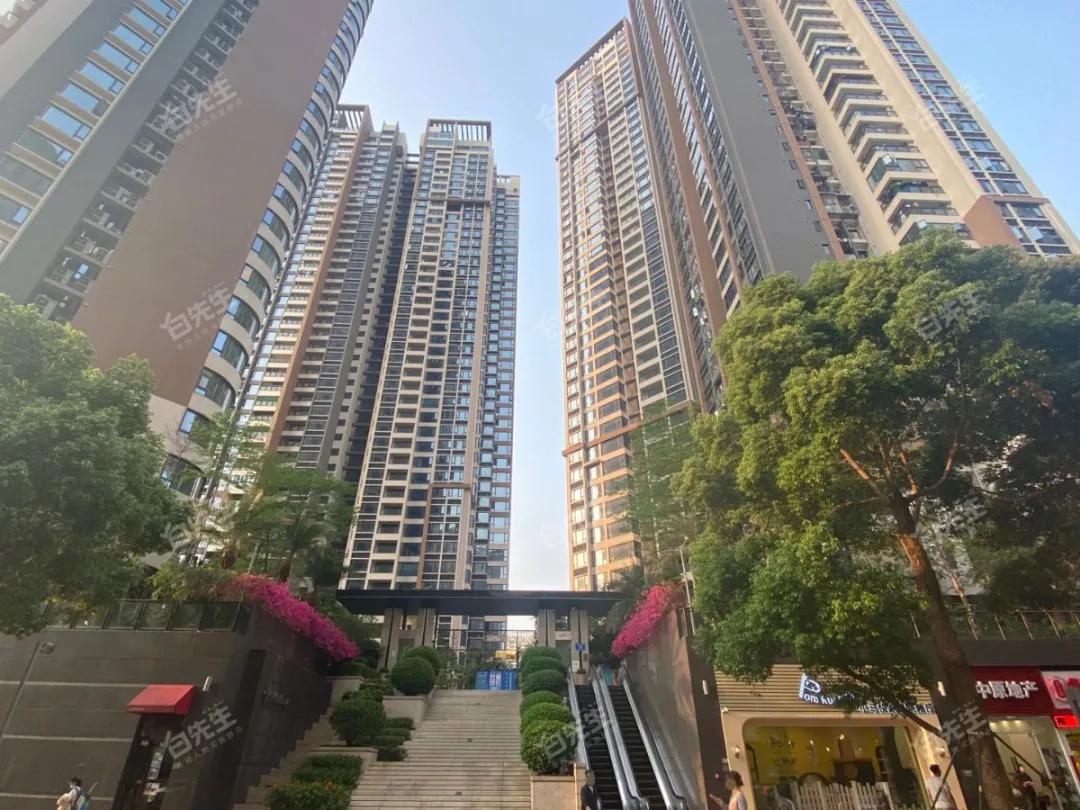 八大录取率名列前茅的二梯队石厦学校,学区房500万起