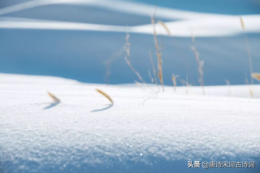 白居易十月江南天气好,白居易十月江南天气图