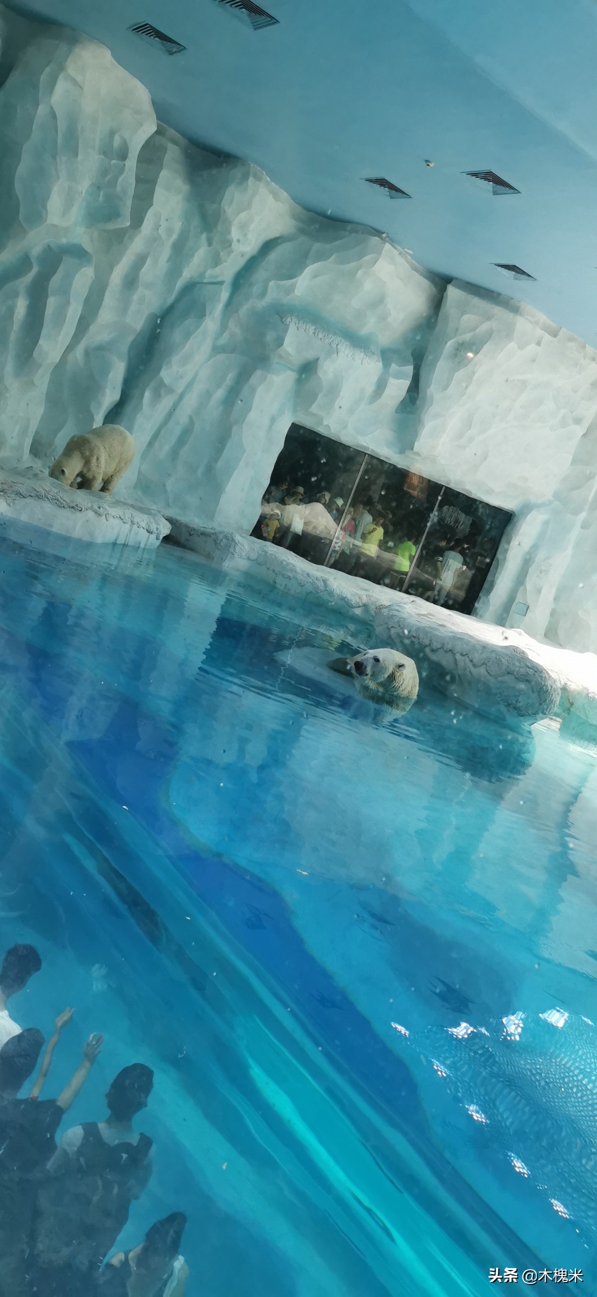 珠海长隆附近美食,珠海长隆海洋王国海底世界