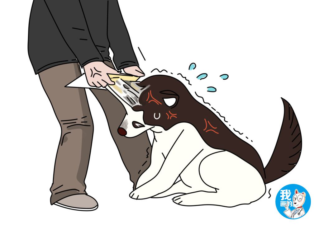 男子摘粘鼠板后续,男子用黏板捉老鼠