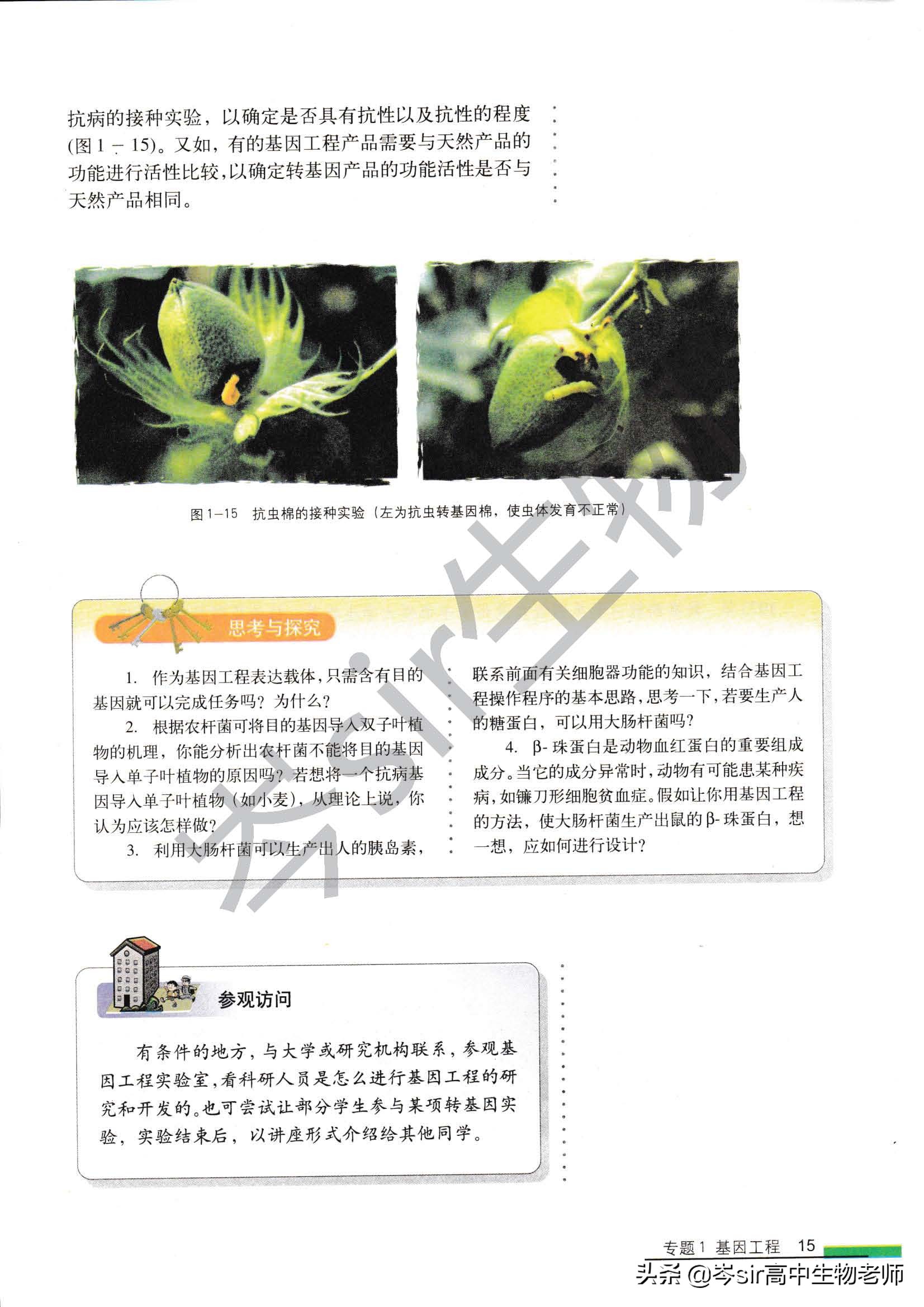 高中生物教材速读选修3.1.2基因工程的基本操作程序