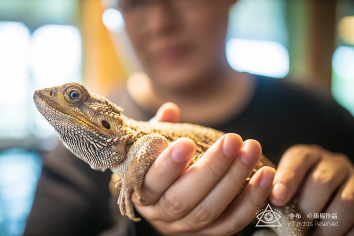 鳄鱼宝宝好用吗,鳄鱼宝宝婴儿用着怎么样