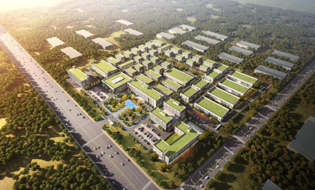 现实的乳山市银滩,乳山银滩是真的吗