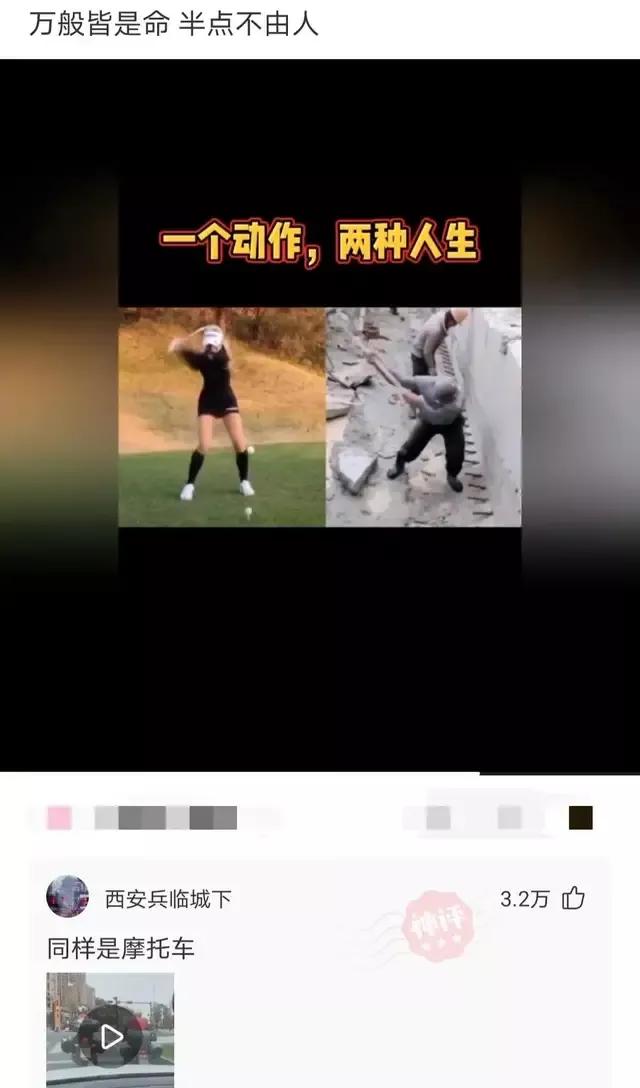 神回复下半句,神回复煮东西