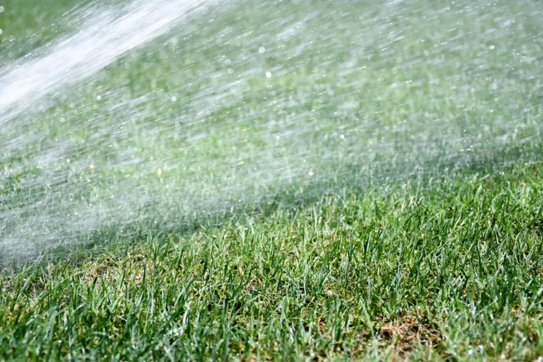 烈日灼灼，黄石奥体中心体育场更换夏季热型草
