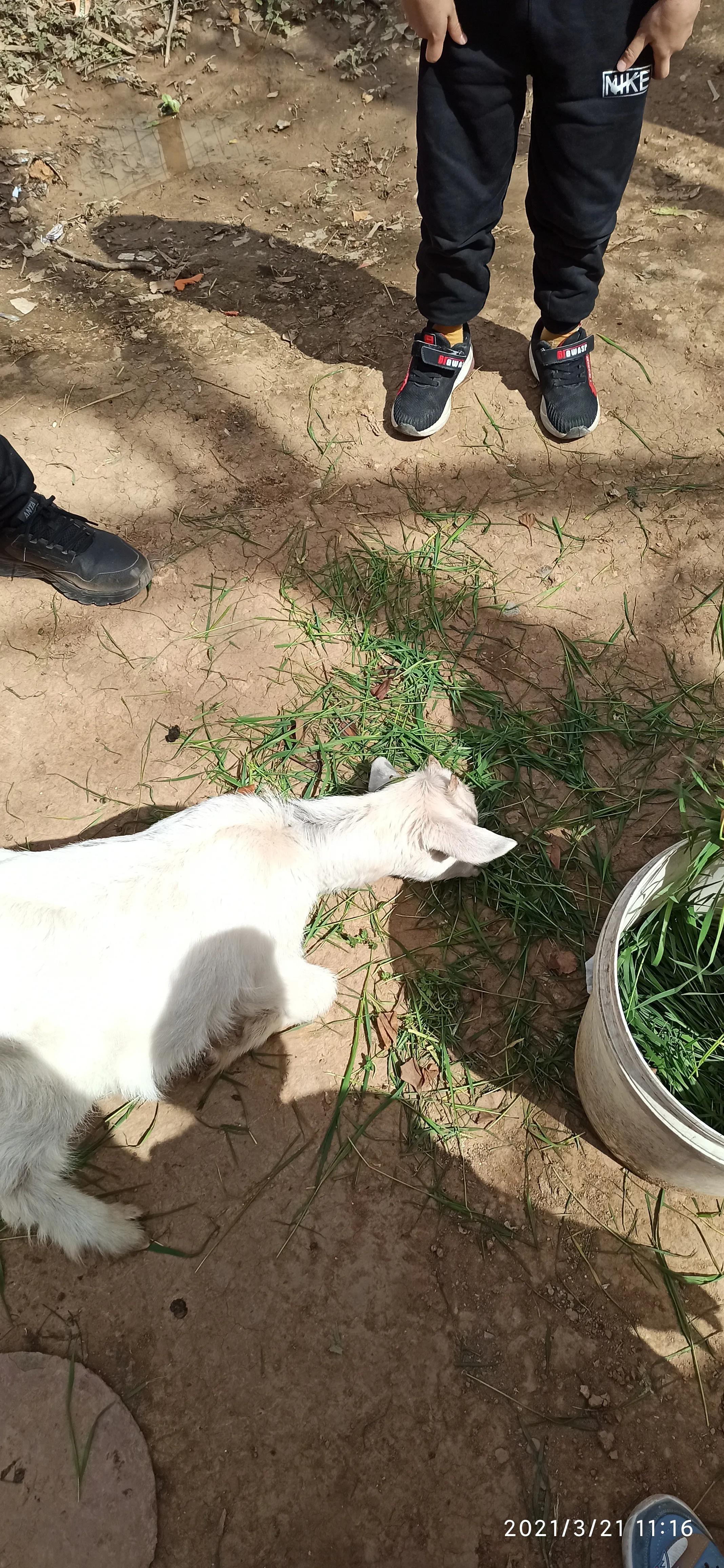 周山森林公园有啥玩的,周山森林公园游乐场招商