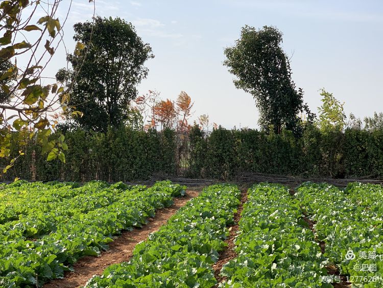 洛阳市宜阳凤凰岭射箭,宜阳县凤凰岭体育基地