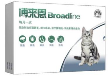 猫咪体外驱虫最好的药是什么,猫咪体外驱虫用什么药好