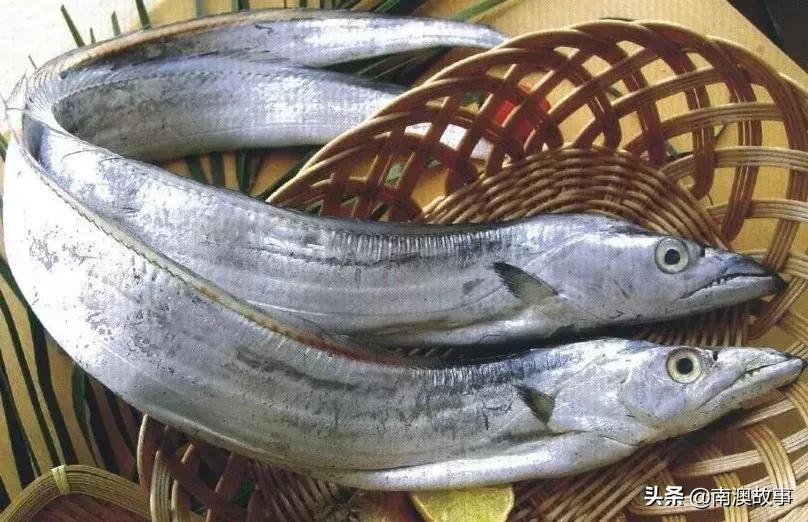 南澳渔民捕鱼视频,南澳渔民出海