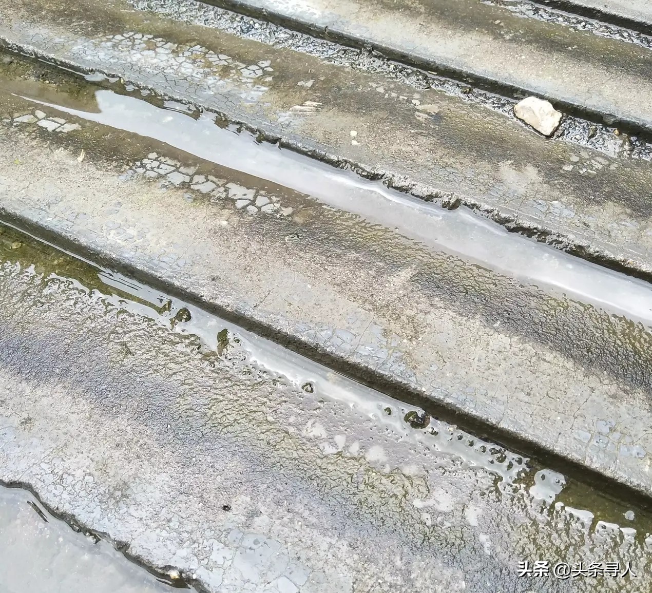 骑车带娃摔倒,江苏妈妈夜间雨天抱孩子摔倒后续