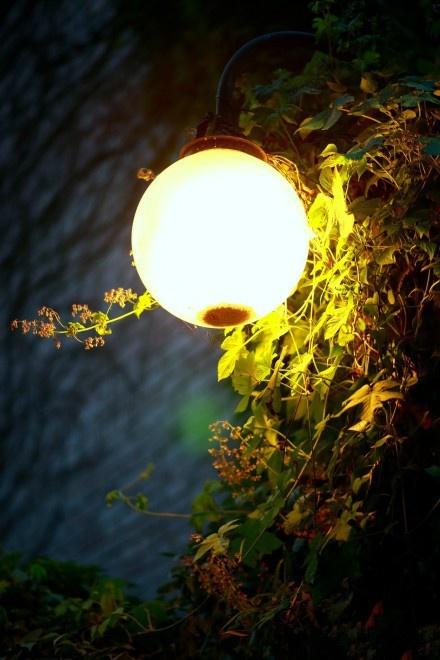 心灵鸡汤晚安语录正能量图片,早晚安微商心灵鸡汤励志语录