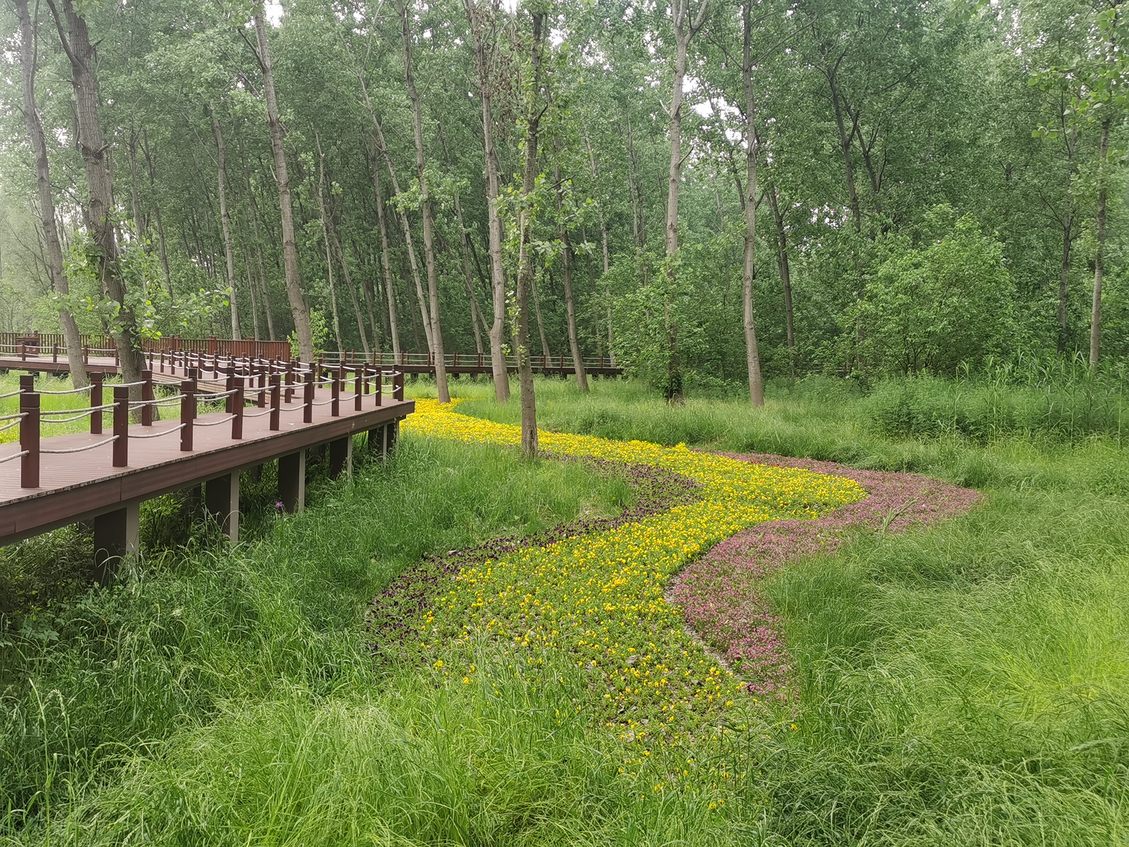 马鞍山风景名胜区,生态画卷美不胜收