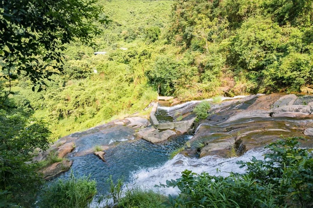 放假在深圳能去哪里玩,放假了可以去深圳的哪些地方玩