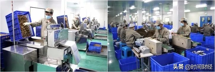 康美药业会计师事务所处罚结果,康美药业会计师事务所的责任