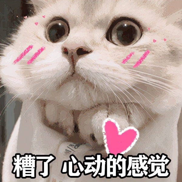 黑五优惠推荐,黑五购物券