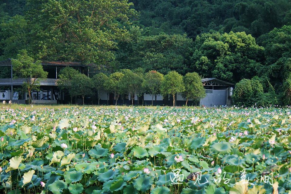 阳朔3人游3天2晚预算,一家三口5天4晚桂林阳朔游