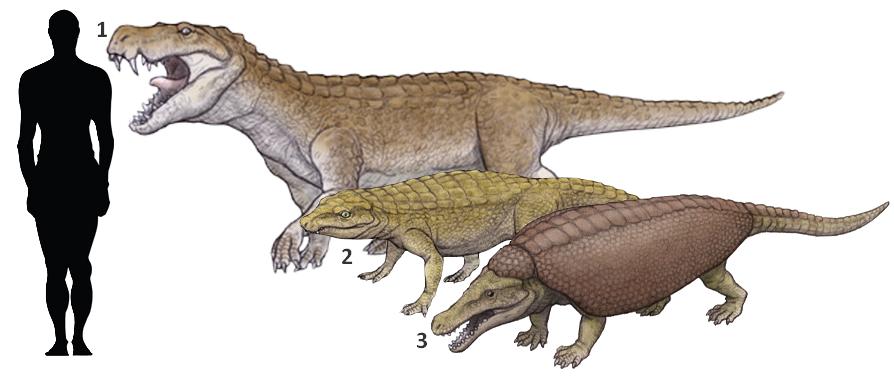 恐龙的100个真相,史前恐龙未解之谜攻略