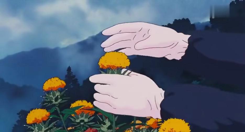 宫崎骏笔下的红花到底是个怎样的植物？