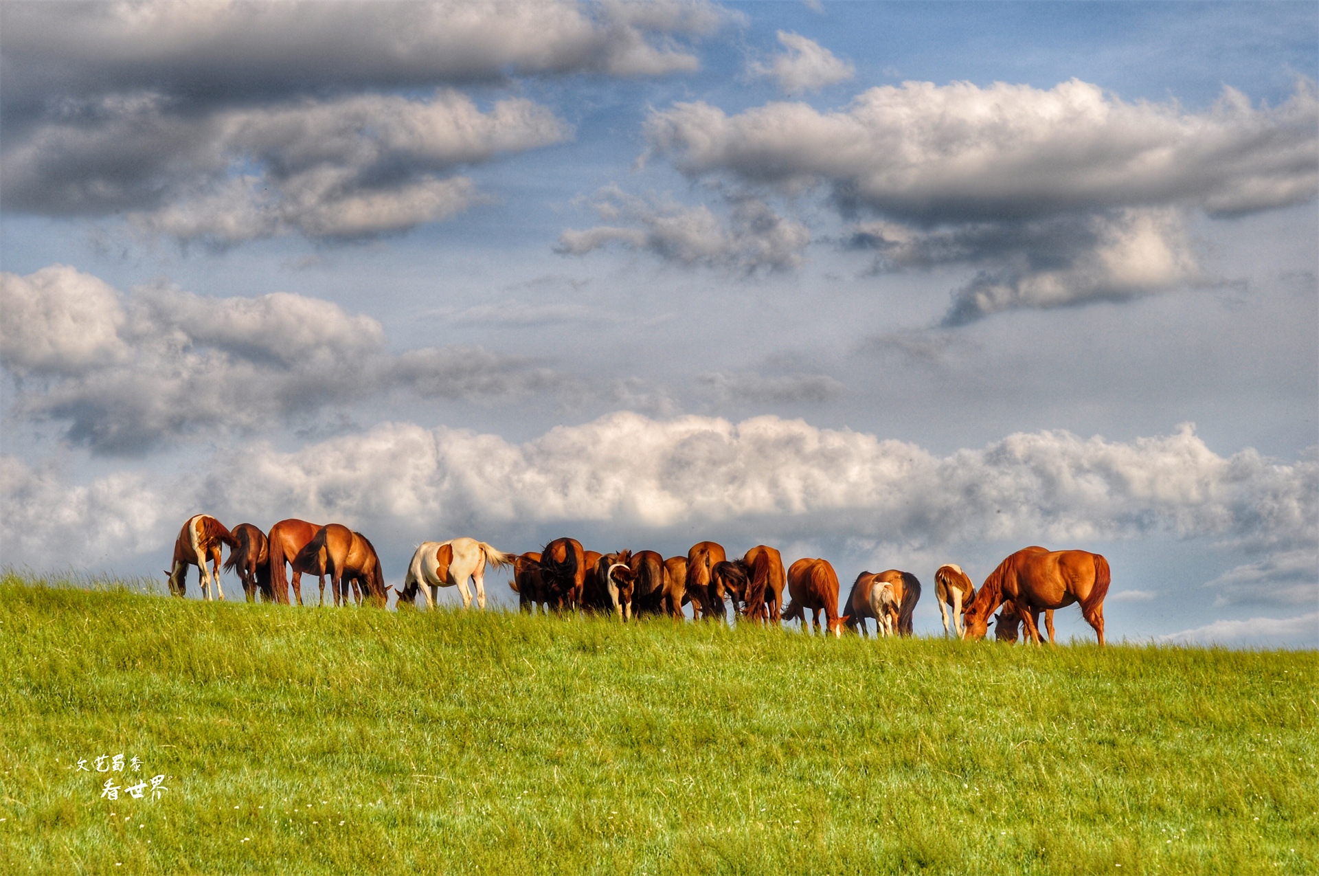 暑假好玩又凉快的小众旅行地推荐,暑假凉快四日游推荐地方
