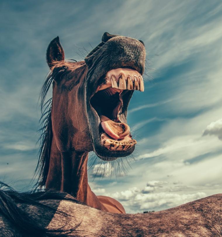 怎么表达发疯,怎么表达自己发疯了