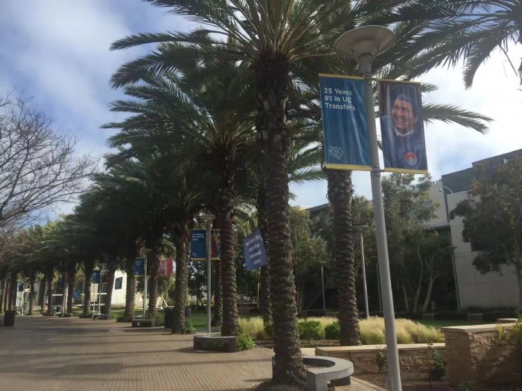 韦恩州立大学在美国的排名 (韦恩州立大学美国排名)