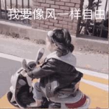 南京哪几个公园免费又好玩,南京莫愁湖公园免费