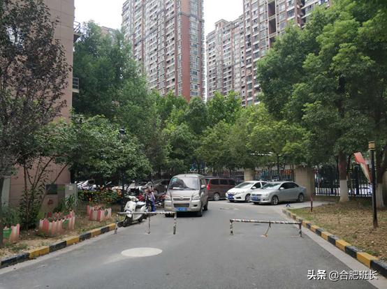 合肥滨湖学区房最新价格,合肥滨湖cbd学区房