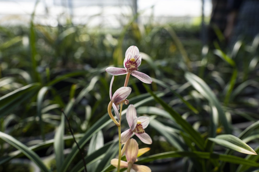 南靖景区有哪些好玩的,南靖风景好的地方推荐