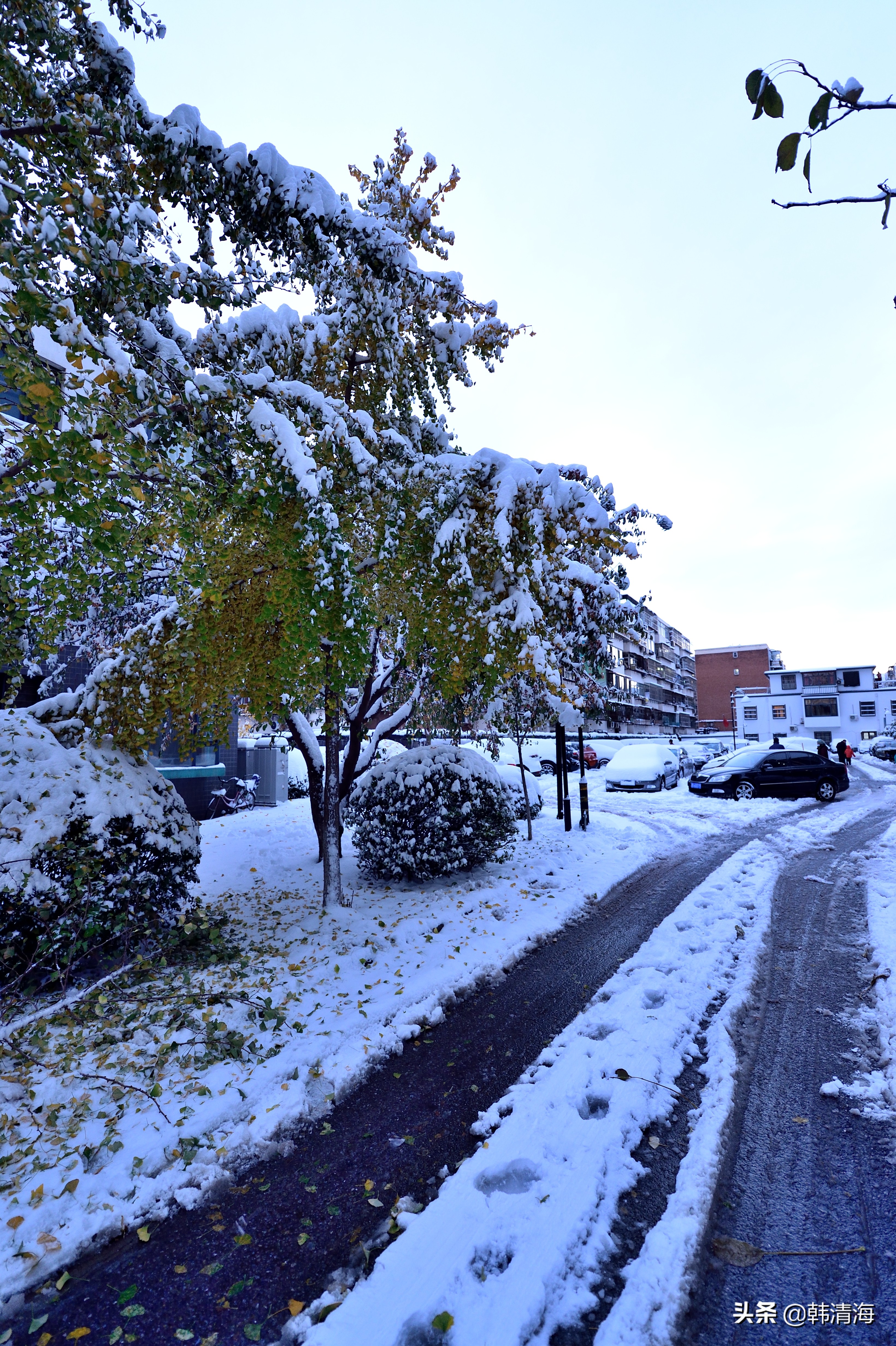 2021天津第一雪水畔花园小区装扮得更加圣洁和美丽