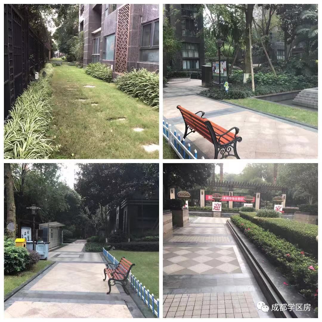 和泡小非常像的一个分校之最全盘点！​