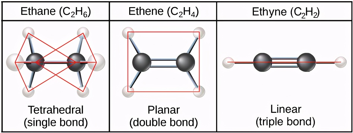 碳元素为什么是最基本元素,生命的核心元素是什么