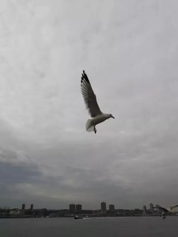 手拍世界近期作品,手拍世界微信公众号