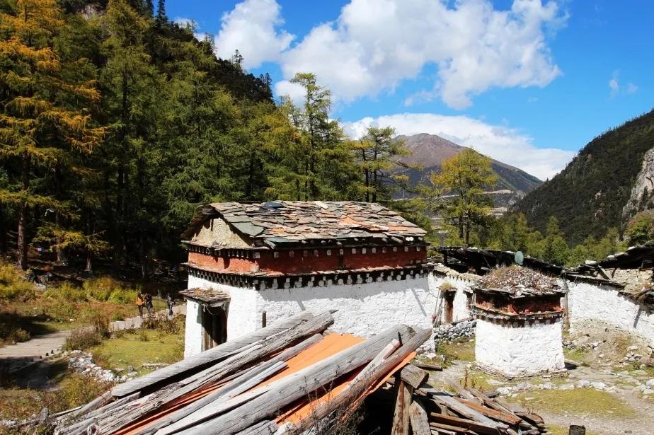 稻城亚丁春天视频,稻城亚丁春天风景