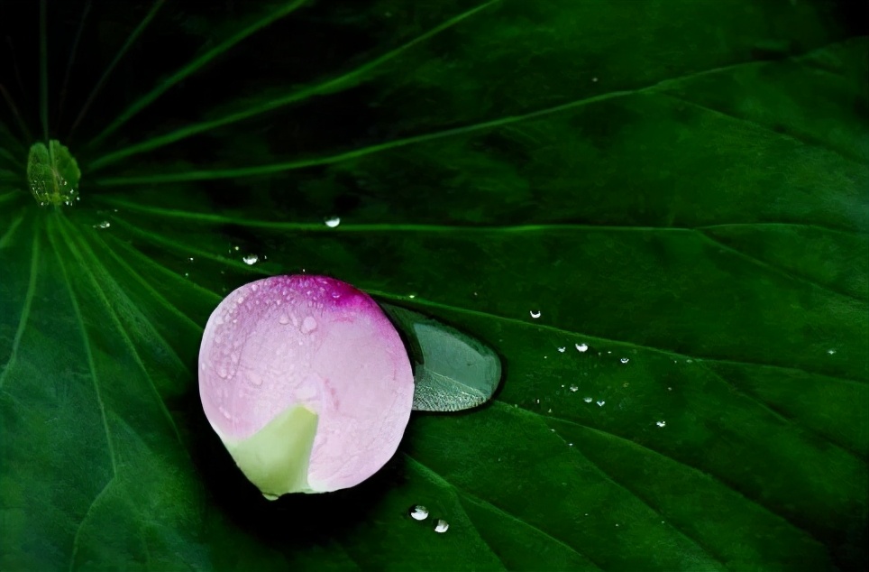 感情中最简单的化解方法,对待情劫最好的办法是什么