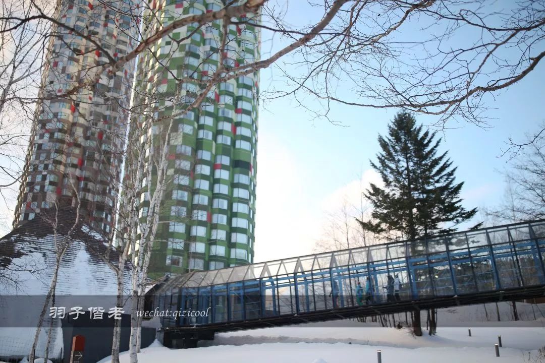 日本10天自由行费用北海道,东京北海道5日自由行攻略