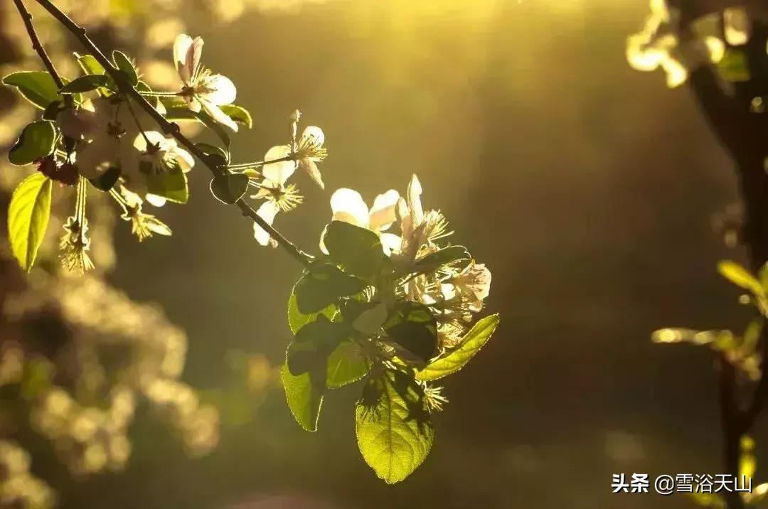 你好，喀什大学！！！中国最西边的大学
