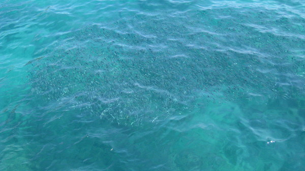 三亚自由行6天最佳攻略,三亚自由行海边游玩攻略