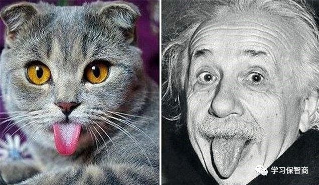 爸妈被撞进医院怎么办,被父母打脑震荡怎么办