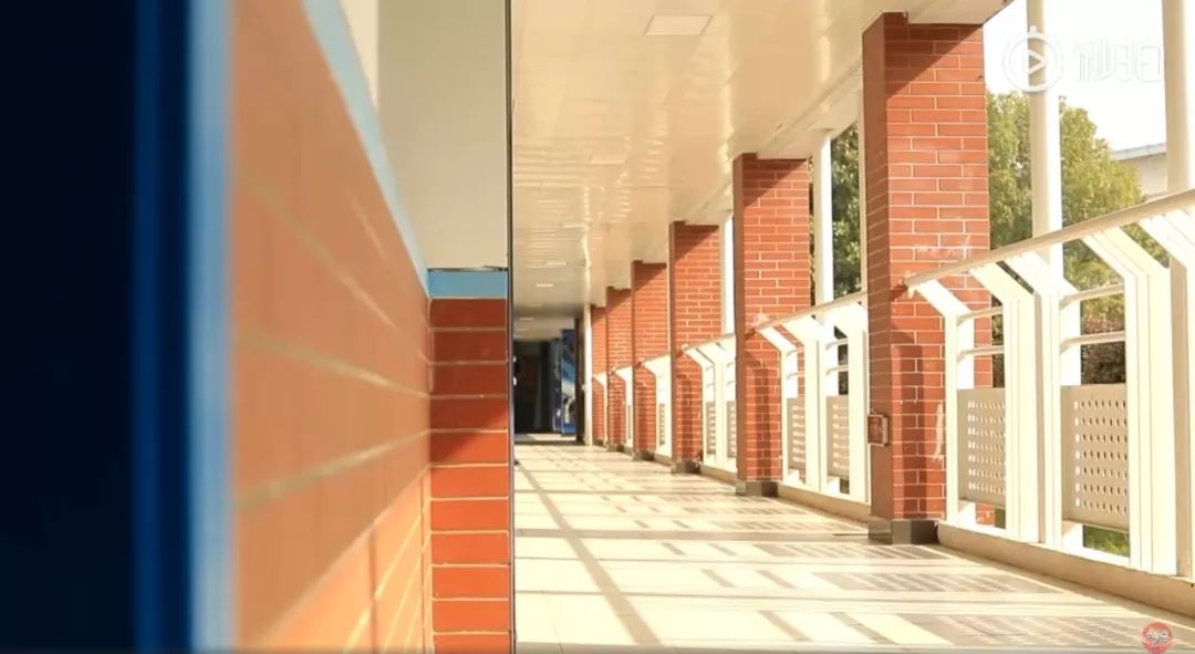 武汉市十大美丽中学,武汉十大美丽学校