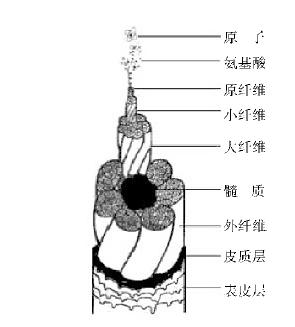 你知道吗古代的染发,古人染发有几种颜色