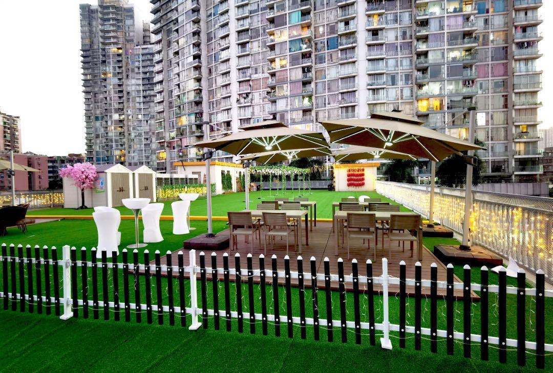 狗狗相亲大会30只柯基,柯基找对象要找有经验的大狗吗