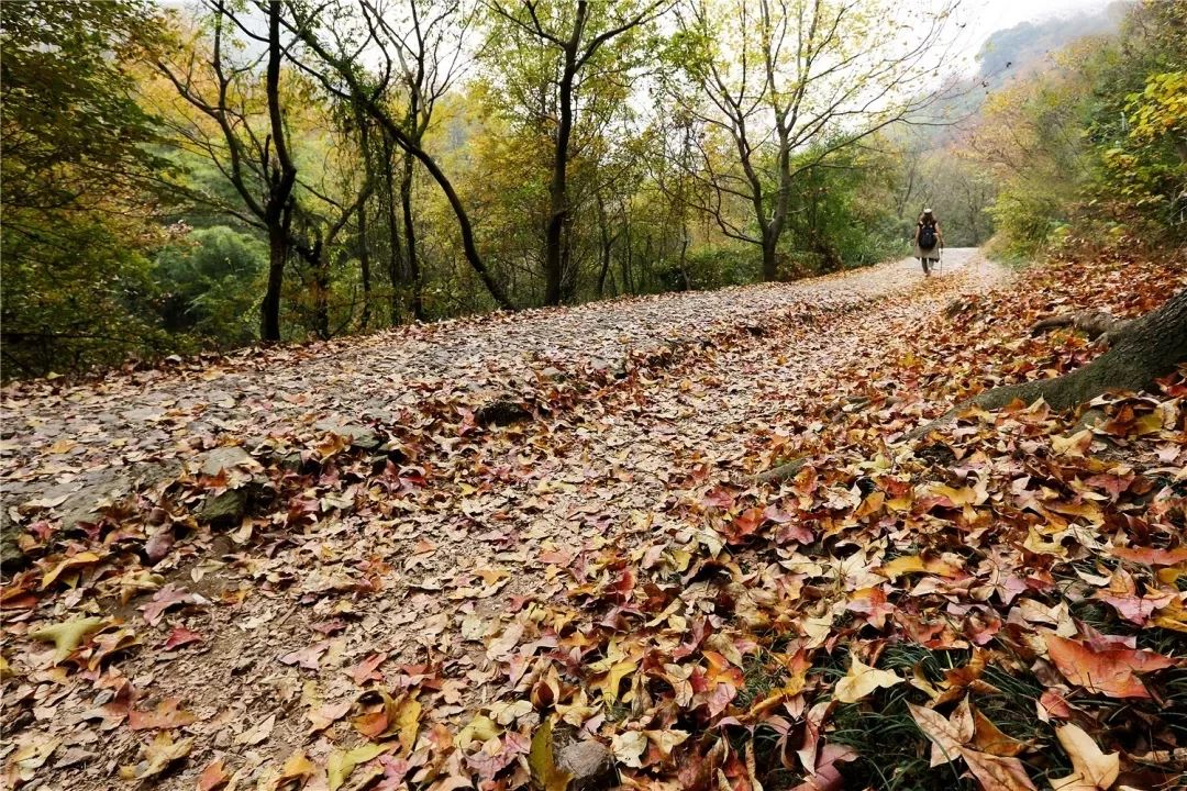 东钱湖徒步路线哪条最美,东钱湖附近有哪些免费古道