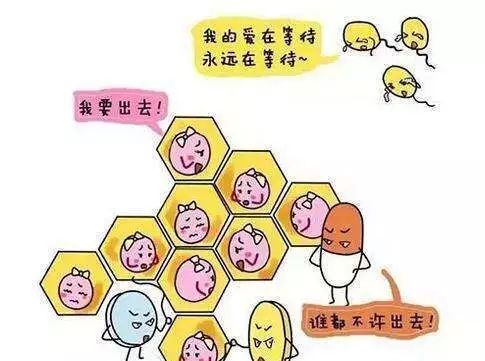 常用七种避孕方法哪三种最不可靠,安全避孕方式哪种最适合