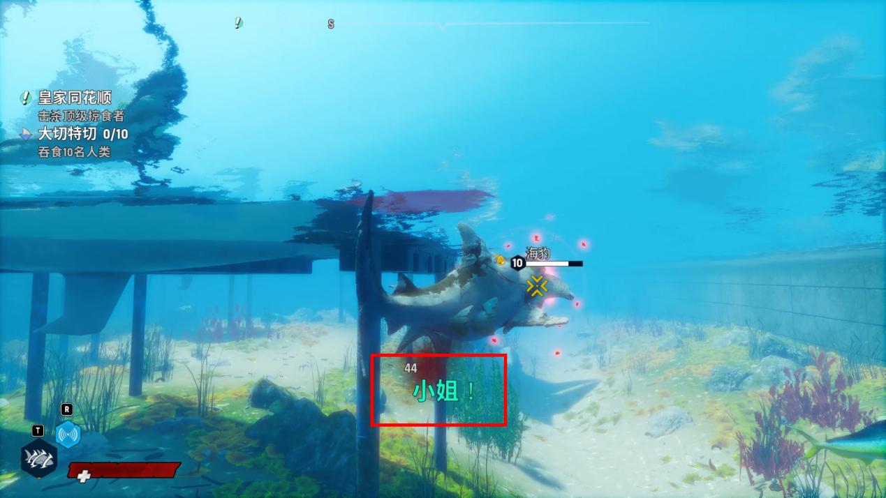 开局一条鲲进化全靠吞游戏视频,开局一只鲲进化全靠吞的游戏